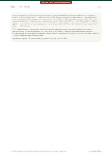Страница 23 образца отчёта: Оговорки