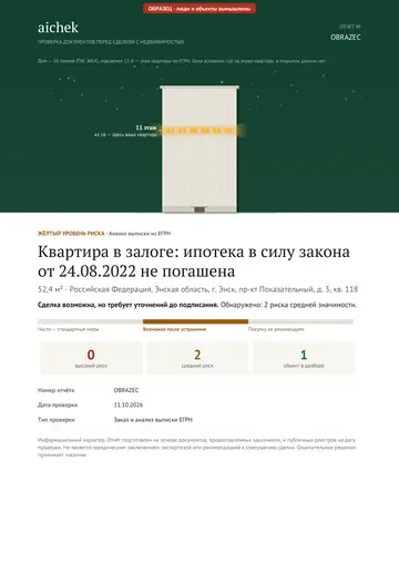 Обложка образца: Сведения ЕГРН с разбором