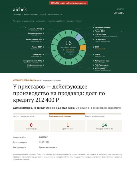 Обложка образца отчёта: продавец — У продавца открытый долг у приставов, пять тёзок отсеяно